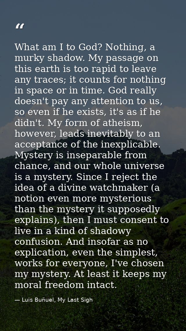 What am I to God? Nothing, a murky shadow. My passage on this earth is too rapid to leave any traces; it counts for noth — Luis Buñuel, My Last Sigh