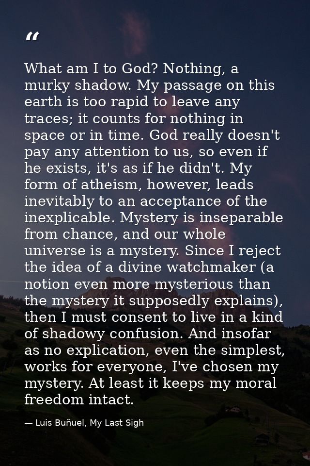 What am I to God? Nothing, a murky shadow. My passage on this earth is too rapid to leave any traces; it counts for noth — Luis Buñuel, My Last Sigh