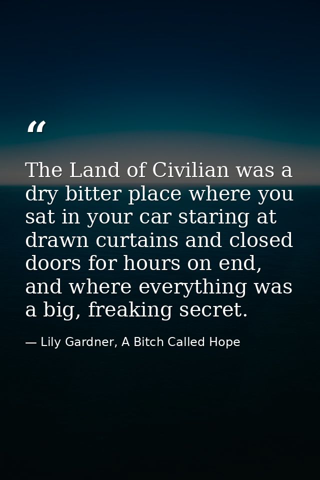 The Land of Civilian was a dry bitter place where you sat in your car staring at drawn curtains and closed doors for hou — Lily Gardner, A Bitch Called Hope