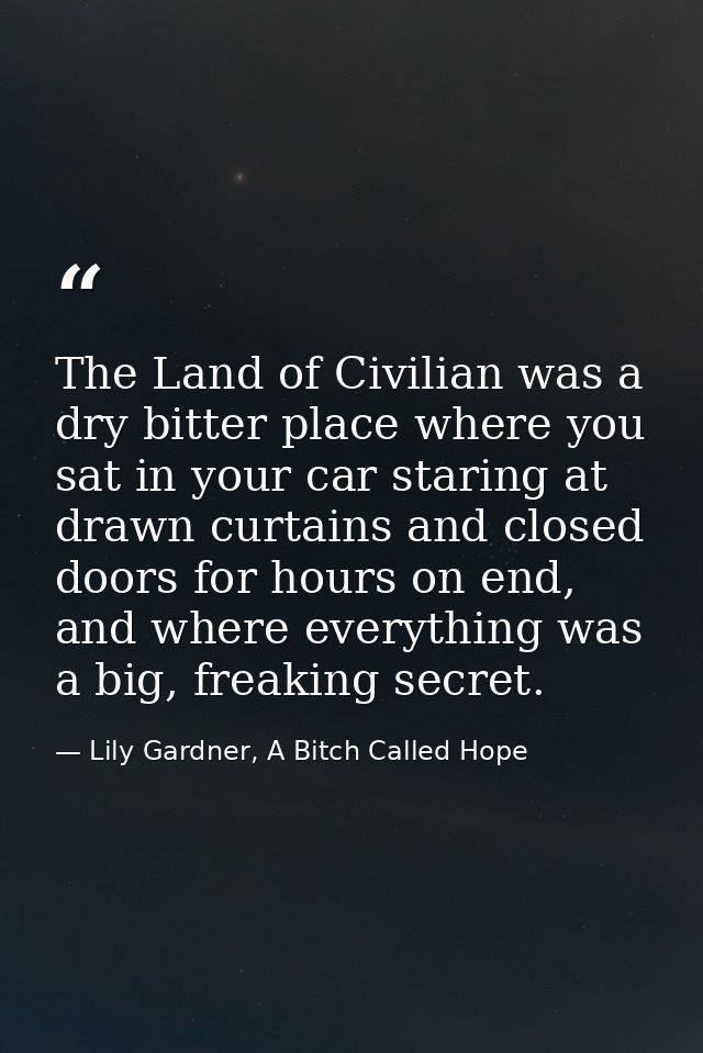 The Land of Civilian was a dry bitter place where you sat in your car staring at drawn curtains and closed doors for hou — Lily Gardner, A Bitch Called Hope