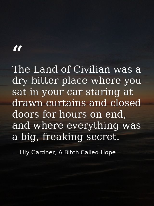 The Land of Civilian was a dry bitter place where you sat in your car staring at drawn curtains and closed doors for hou — Lily Gardner, A Bitch Called Hope