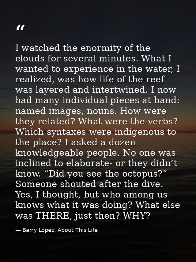 I watched the enormity of the clouds for several minutes. What I wanted to experience in the water, I realized, was how  — Barry López, About This Life