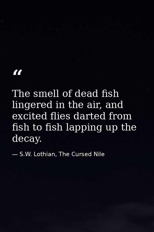 The smell of dead fish lingered in the air, and excited flies darted from fish to fish lapping up the decay. — S.W. Lothian, The Cursed Nile