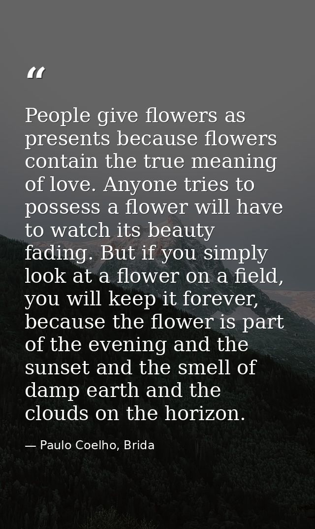 People give flowers as presents because flowers contain the true meaning of love. Anyone tries to possess a flower will  — Paulo Coelho, Brida