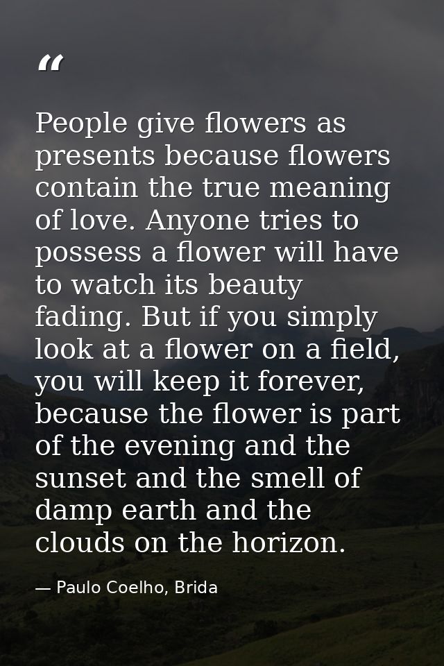 People give flowers as presents because flowers contain the true meaning of love. Anyone tries to possess a flower will  — Paulo Coelho, Brida
