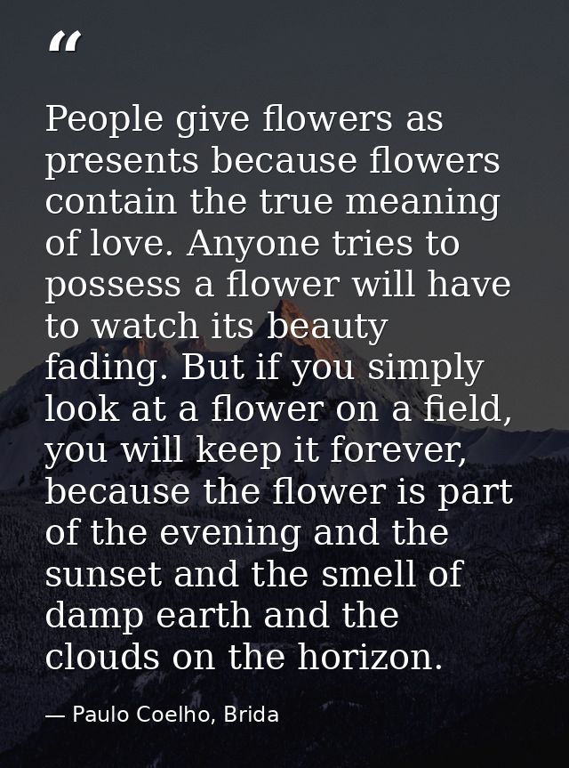 People give flowers as presents because flowers contain the true meaning of love. Anyone tries to possess a flower will  — Paulo Coelho, Brida