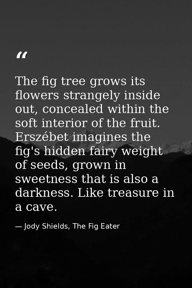 The fig tree grows its flowers strangely inside out, concealed within the soft interior of the fruit. Erszébet imagines  — Jody Shields, The Fig Eater