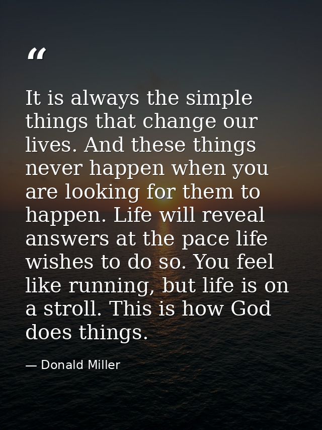 It is always the simple things that change our lives. And these things never happen when you are looking for them to hap — Donald Miller