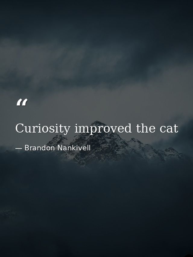 Curiosity improved the cat — Brandon Nankivell