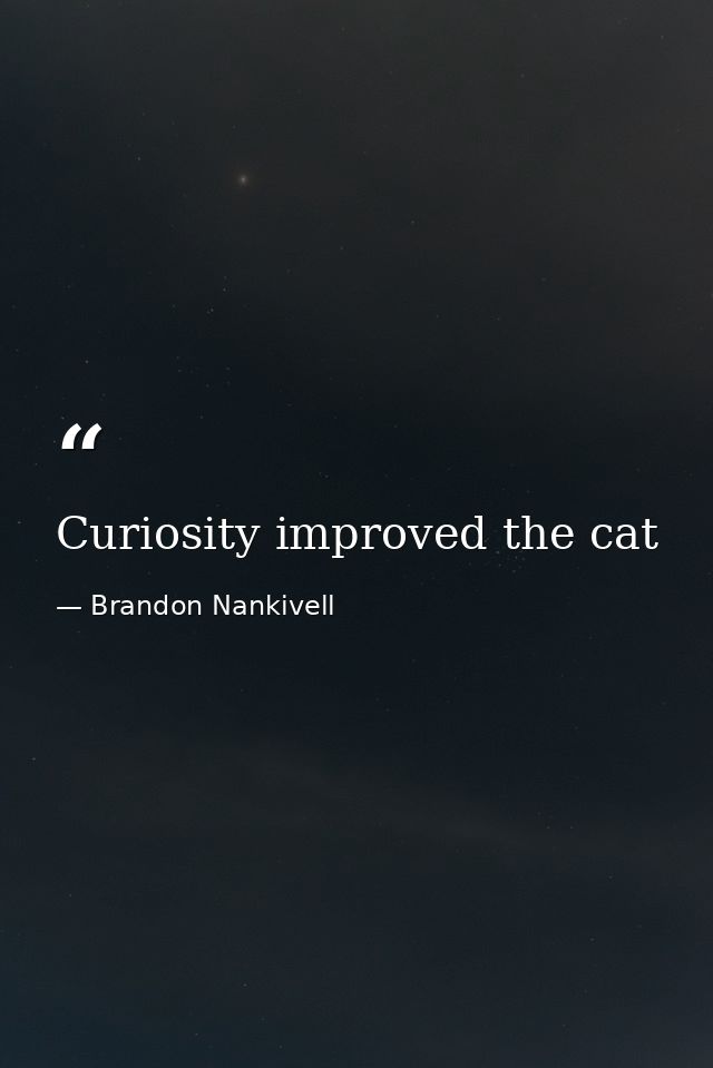 Curiosity improved the cat — Brandon Nankivell