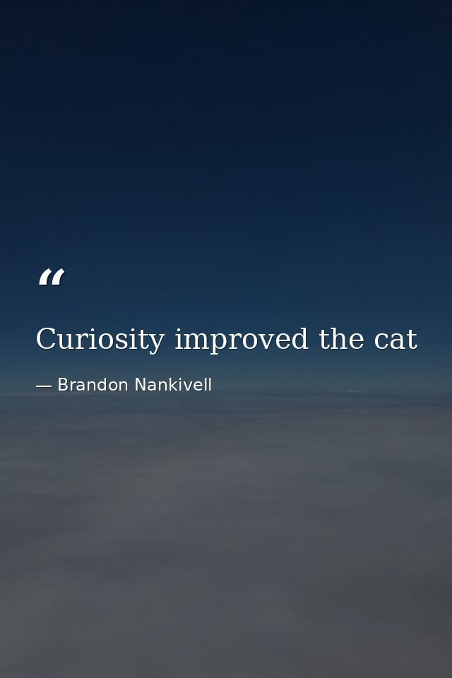 Curiosity improved the cat — Brandon Nankivell