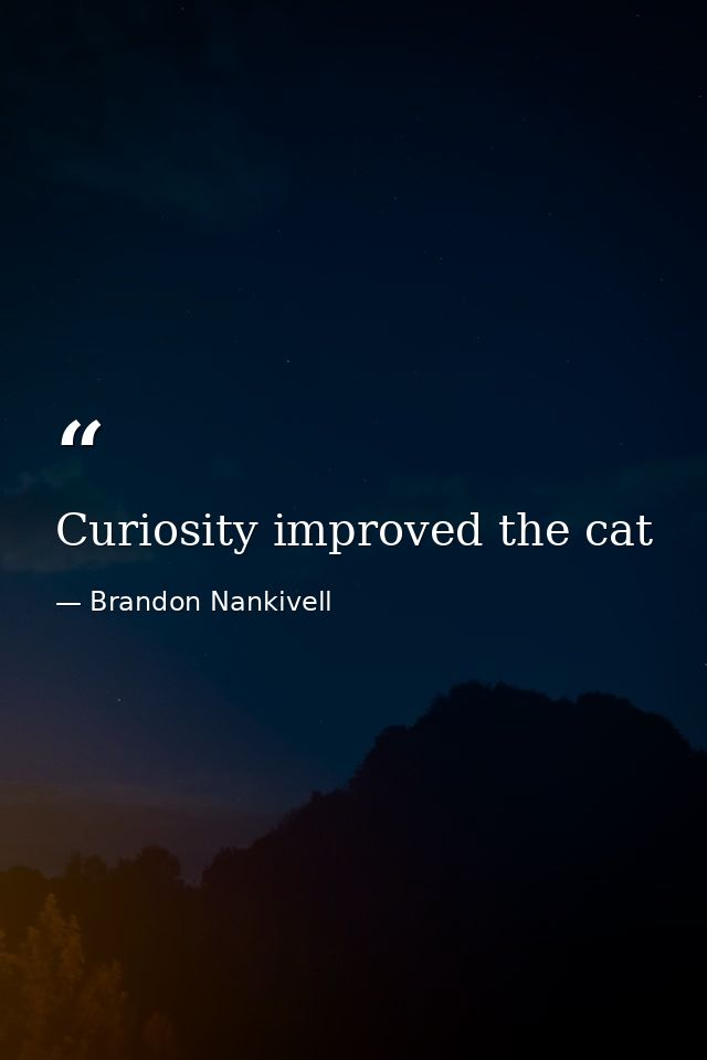 Curiosity improved the cat — Brandon Nankivell