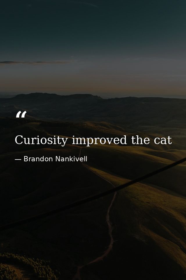 Curiosity improved the cat — Brandon Nankivell