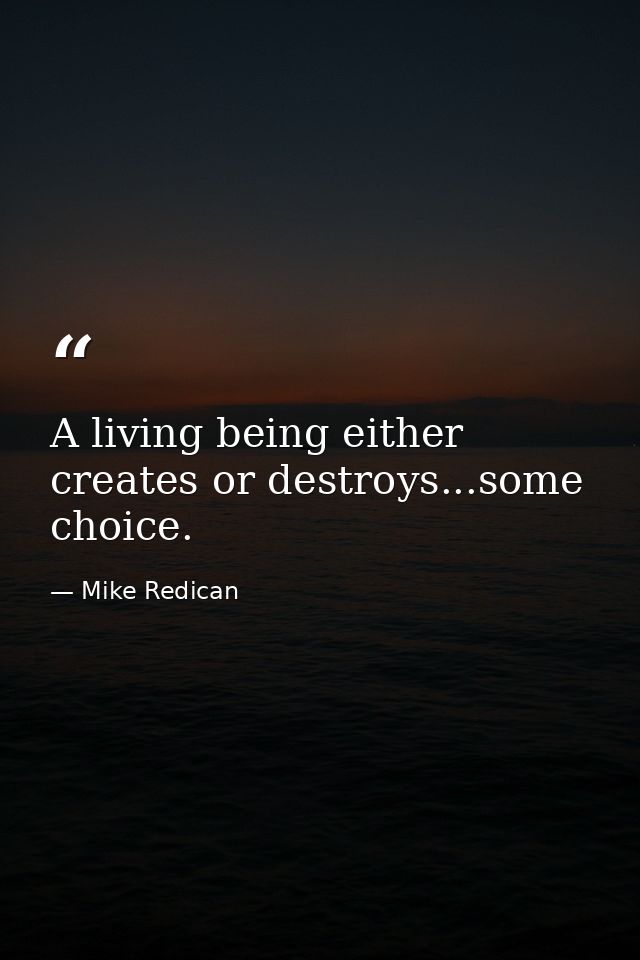 A living being either creates or destroys...some choice. — Mike Redican