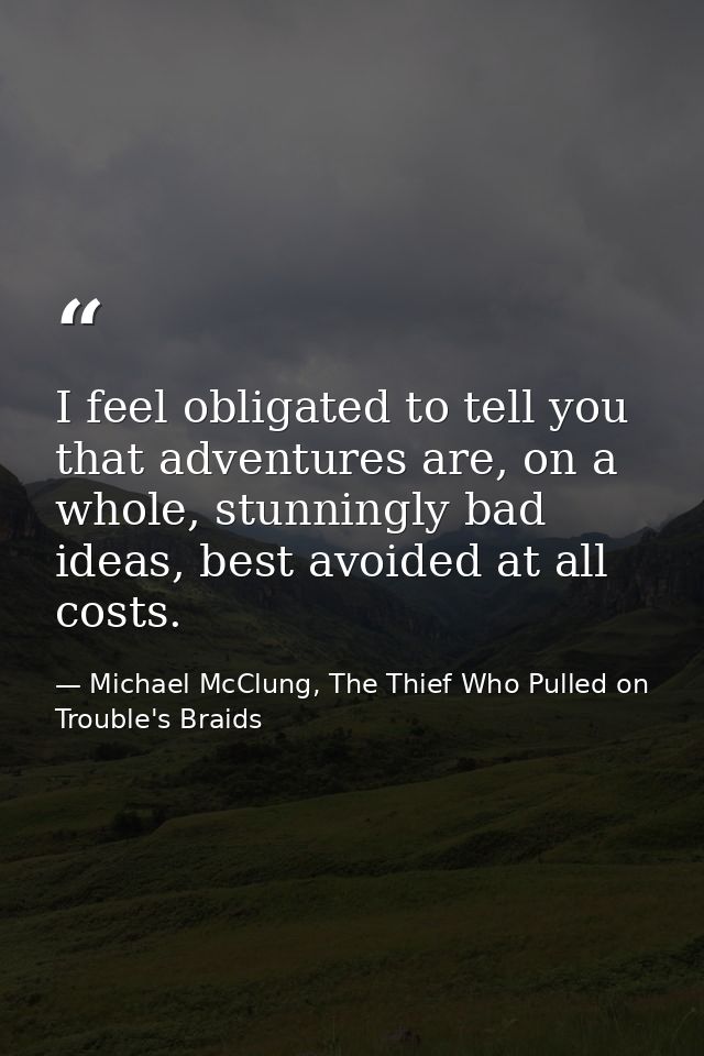 I feel obligated to tell you that adventures are, on a whole, stunningly bad ideas, best avoided at all costs. — Michael McClung, The Thief Who Pulled on Trouble's Braids