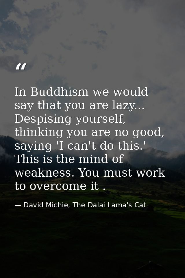 In Buddhism we would say that you are lazy... Despising yourself, thinking you are no good, saying 'I can't do this.' Th — David Michie, The Dalai Lama's Cat