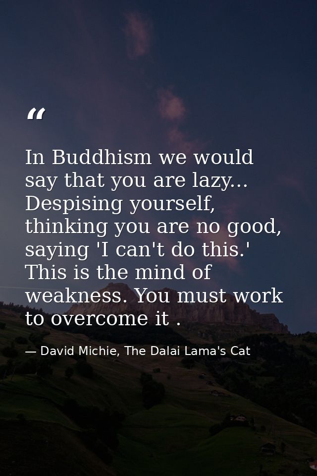 In Buddhism we would say that you are lazy... Despising yourself, thinking you are no good, saying 'I can't do this.' Th — David Michie, The Dalai Lama's Cat