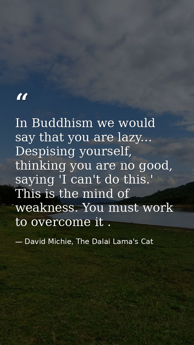 In Buddhism we would say that you are lazy... Despising yourself, thinking you are no good, saying 'I can't do this.' Th — David Michie, The Dalai Lama's Cat