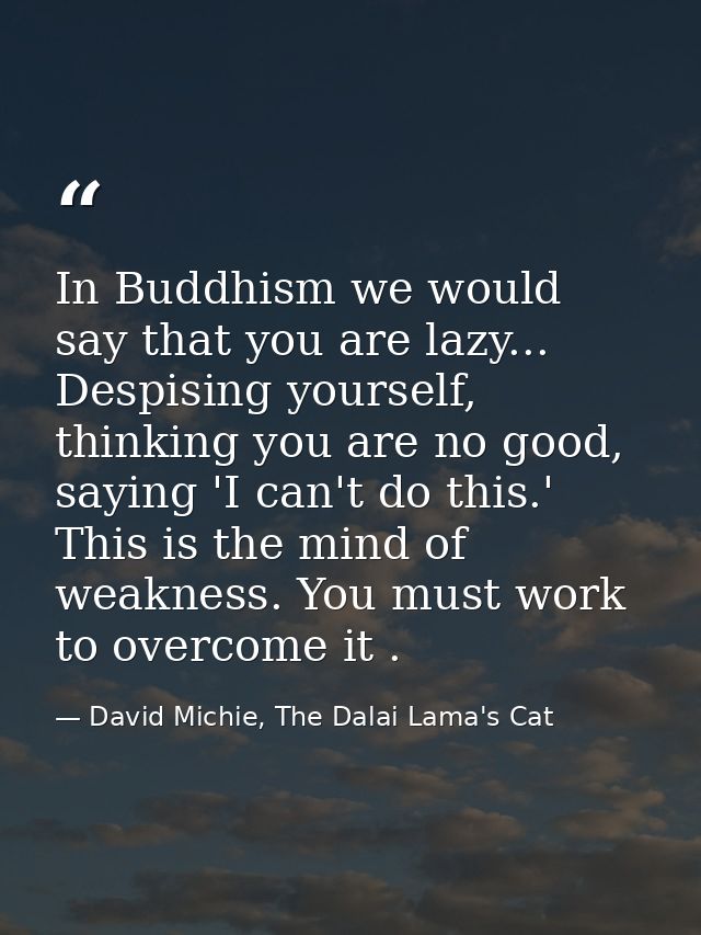 In Buddhism we would say that you are lazy... Despising yourself, thinking you are no good, saying 'I can't do this.' Th — David Michie, The Dalai Lama's Cat