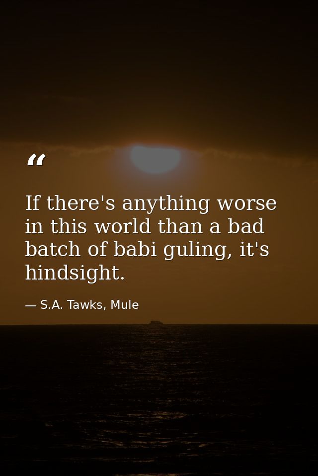 If there's anything worse in this world than a bad batch of babi guling, it's hindsight. — S.A. Tawks, Mule