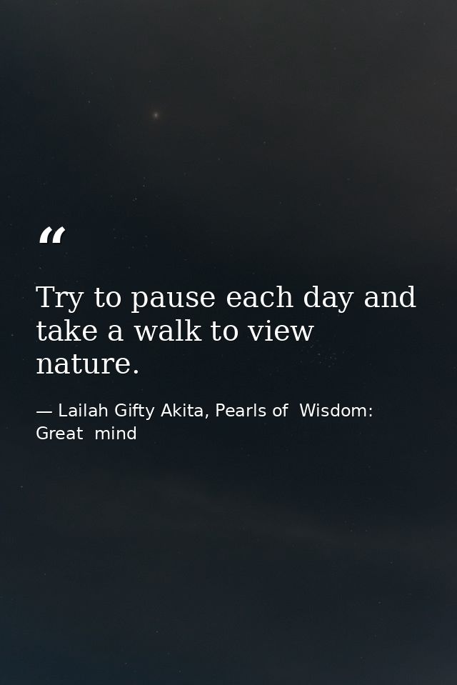 Try to pause each day and take a walk to view nature. — Lailah Gifty Akita, Pearls of  Wisdom: Great  mind