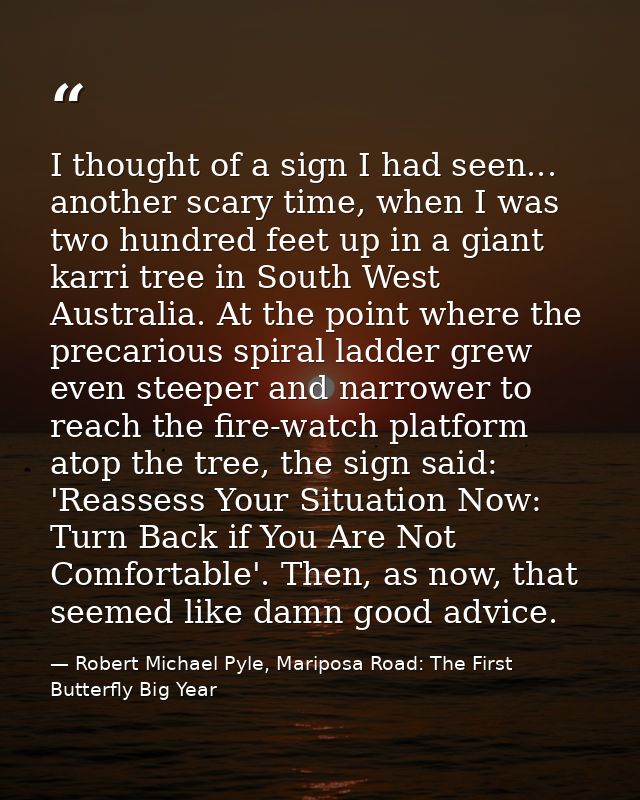 I thought of a sign I had seen... another scary time, when I was two hundred feet up in a giant karri tree in South West — Robert Michael Pyle, Mariposa Road: The First Butterfly Big Year