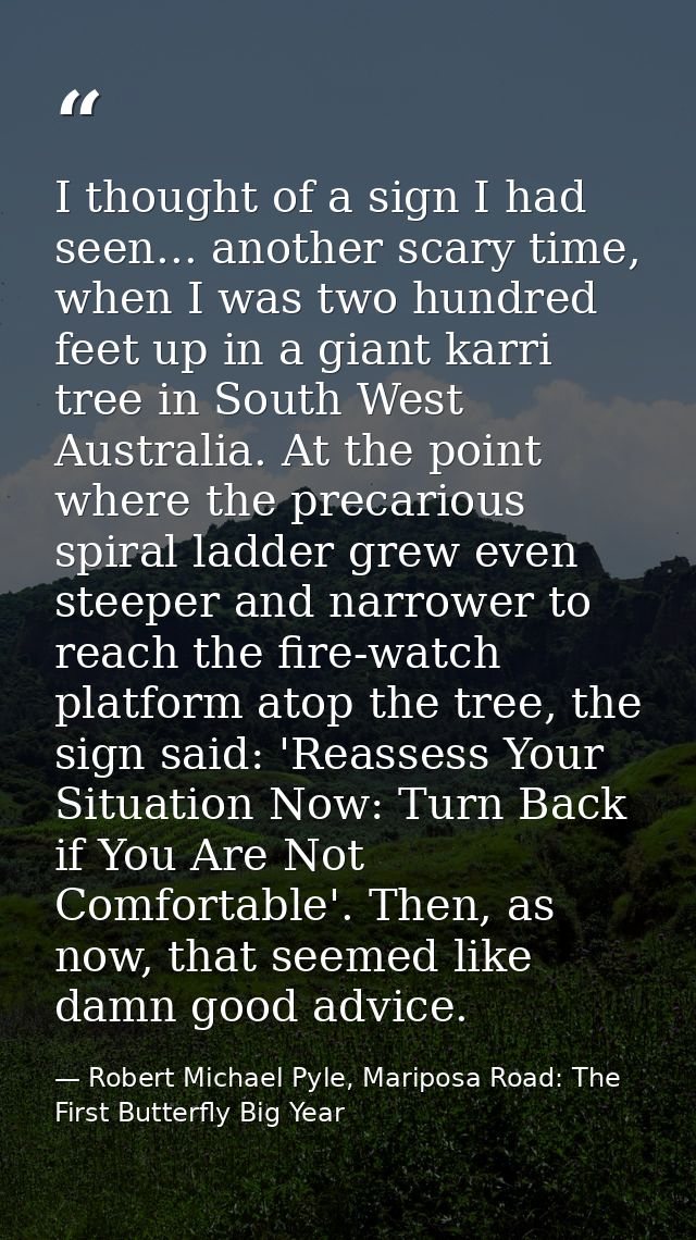 I thought of a sign I had seen... another scary time, when I was two hundred feet up in a giant karri tree in South West — Robert Michael Pyle, Mariposa Road: The First Butterfly Big Year