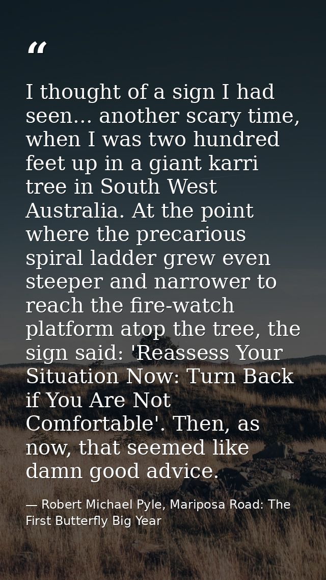 I thought of a sign I had seen... another scary time, when I was two hundred feet up in a giant karri tree in South West — Robert Michael Pyle, Mariposa Road: The First Butterfly Big Year