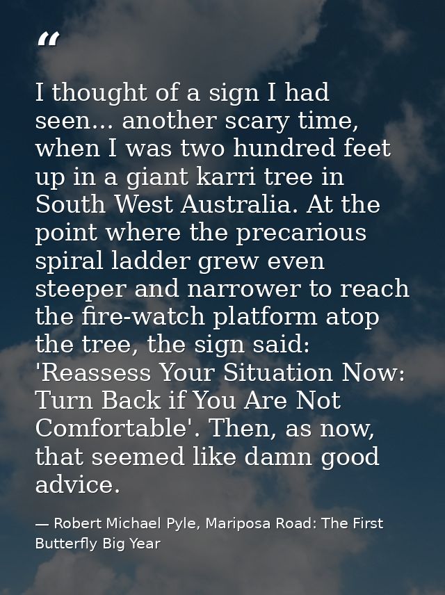 I thought of a sign I had seen... another scary time, when I was two hundred feet up in a giant karri tree in South West — Robert Michael Pyle, Mariposa Road: The First Butterfly Big Year