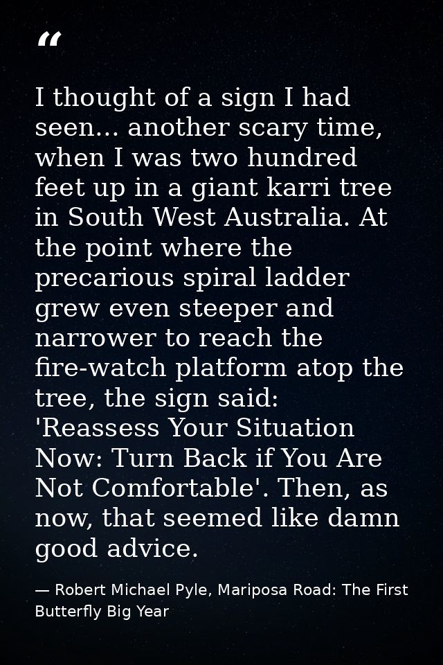 I thought of a sign I had seen... another scary time, when I was two hundred feet up in a giant karri tree in South West — Robert Michael Pyle, Mariposa Road: The First Butterfly Big Year