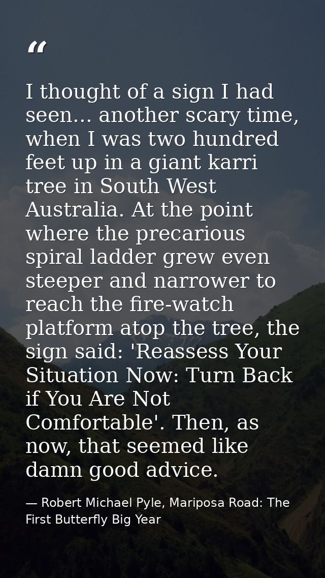 I thought of a sign I had seen... another scary time, when I was two hundred feet up in a giant karri tree in South West — Robert Michael Pyle, Mariposa Road: The First Butterfly Big Year