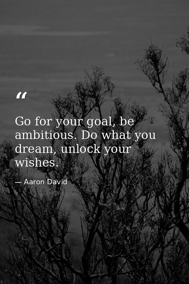 Go for your goal, be ambitious. Do what you dream, unlock your wishes. — Aaron David