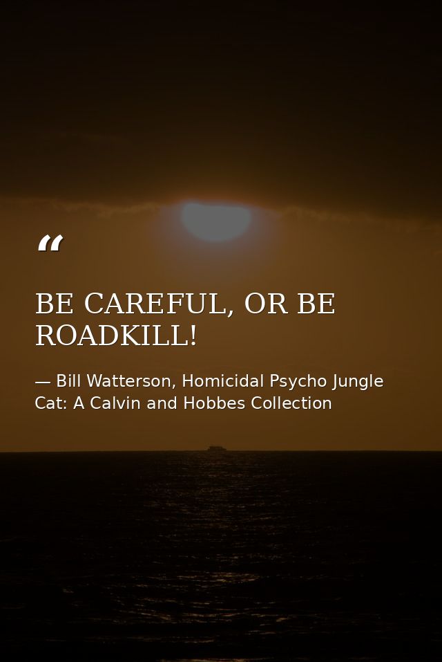 BE CAREFUL, OR BE ROADKILL! — Bill Watterson, Homicidal Psycho Jungle Cat: A Calvin and Hobbes Collection
