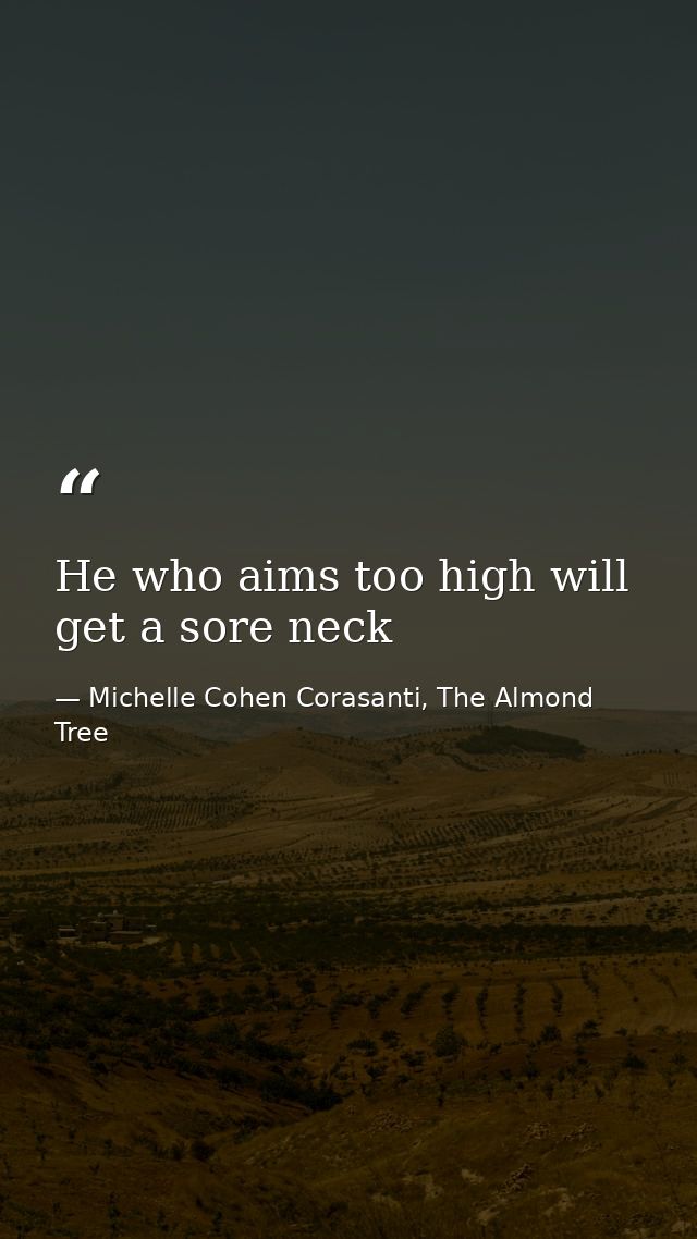 He who aims too high will get a sore neck — Michelle Cohen Corasanti, The Almond Tree
