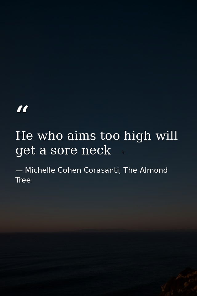 He who aims too high will get a sore neck — Michelle Cohen Corasanti, The Almond Tree