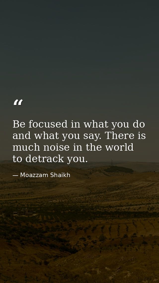 Be focused in what you do and what you say. There is much noise in the world to detrack you. — Moazzam Shaikh