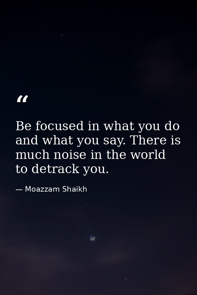 Be focused in what you do and what you say. There is much noise in the world to detrack you. — Moazzam Shaikh