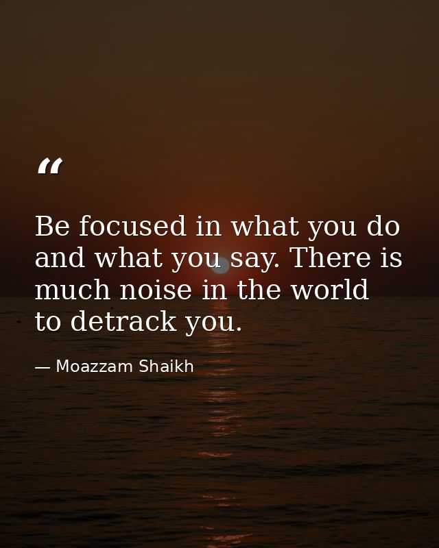 Be focused in what you do and what you say. There is much noise in the world to detrack you. — Moazzam Shaikh