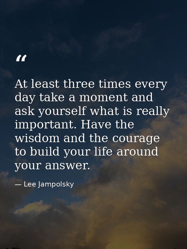 At least three times every day take a moment and ask yourself what is really important. Have the wisdom and the courage  — Lee Jampolsky