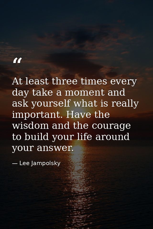 At least three times every day take a moment and ask yourself what is really important. Have the wisdom and the courage  — Lee Jampolsky