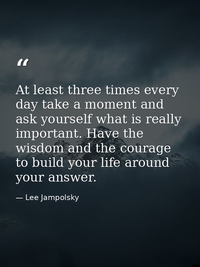 At least three times every day take a moment and ask yourself what is really important. Have the wisdom and the courage  — Lee Jampolsky