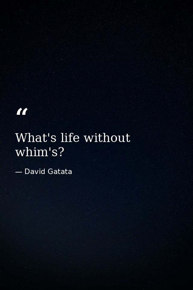 What's life without whim's? — David Gatata