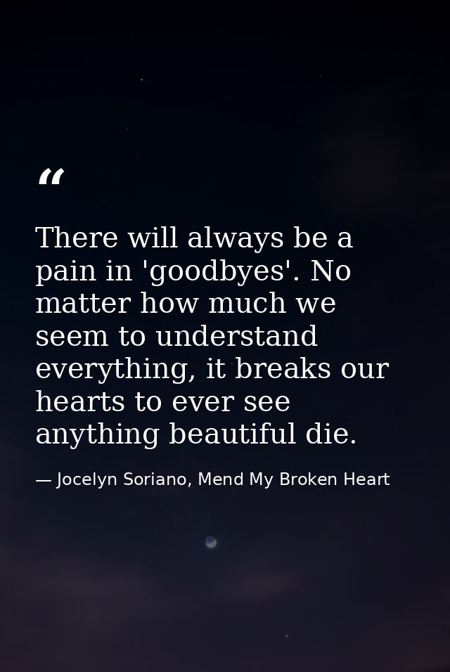 There will always be a pain in 'goodbyes'. No matter how much we seem to understand everything, it breaks our hearts to  — Jocelyn Soriano, Mend My Broken Heart