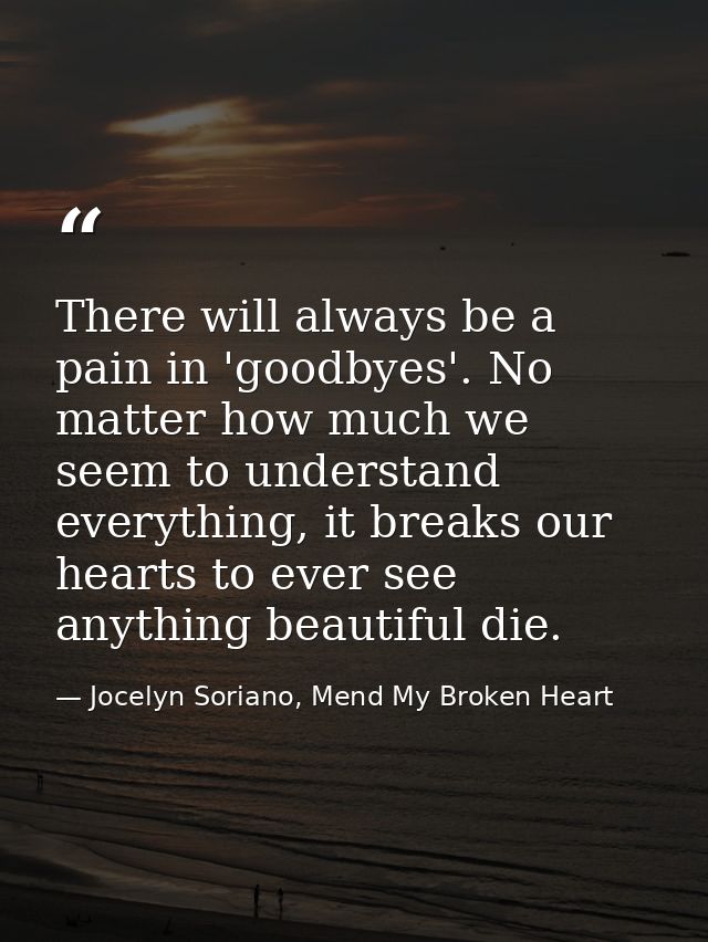 There will always be a pain in 'goodbyes'. No matter how much we seem to understand everything, it breaks our hearts to  — Jocelyn Soriano, Mend My Broken Heart