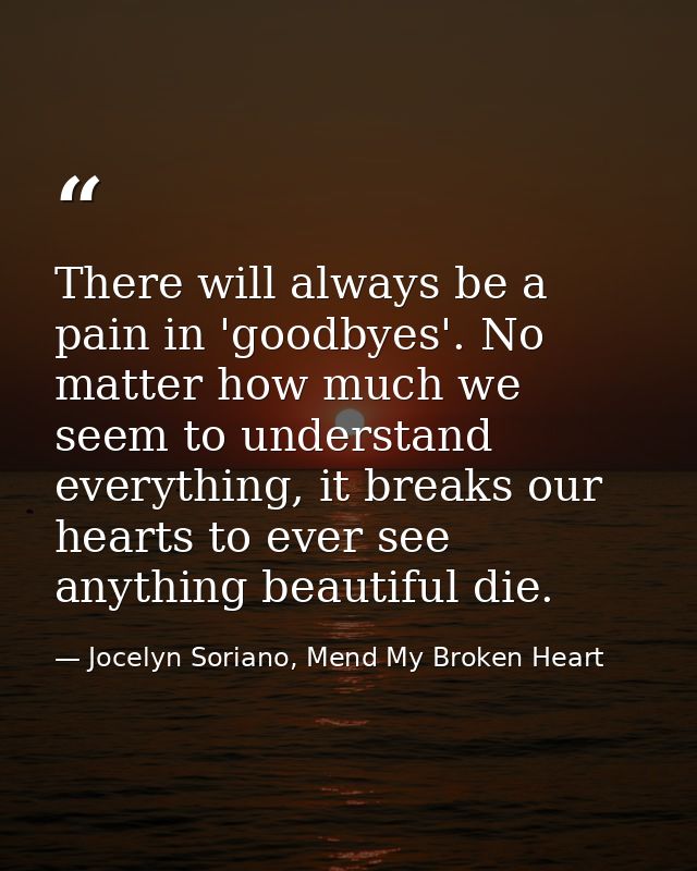 There will always be a pain in 'goodbyes'. No matter how much we seem to understand everything, it breaks our hearts to  — Jocelyn Soriano, Mend My Broken Heart