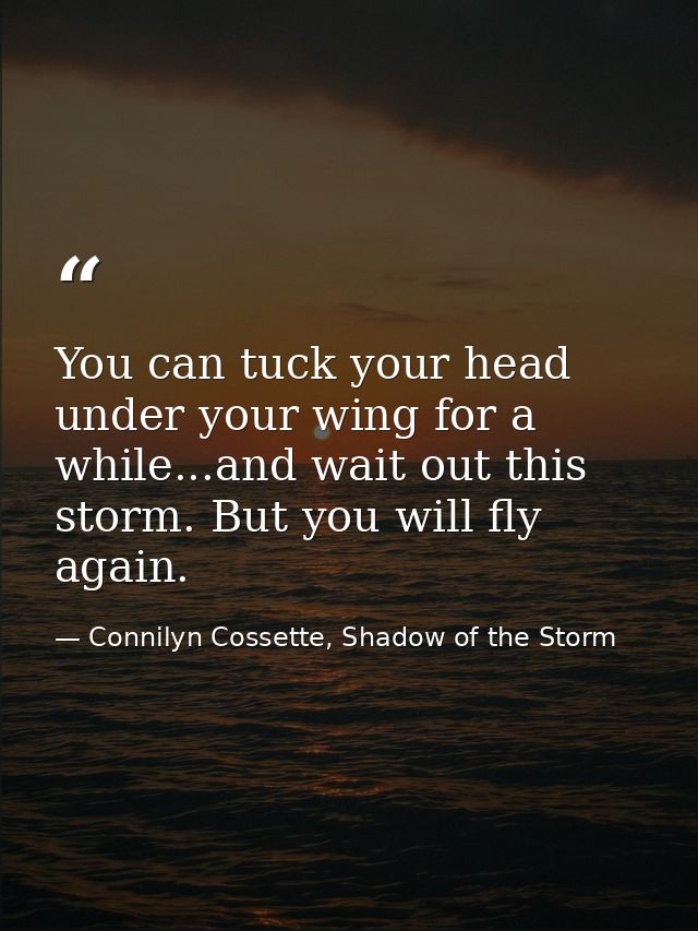You can tuck your head under your wing for a while...and wait out this storm. But you will fly again. — Connilyn Cossette, Shadow of the Storm