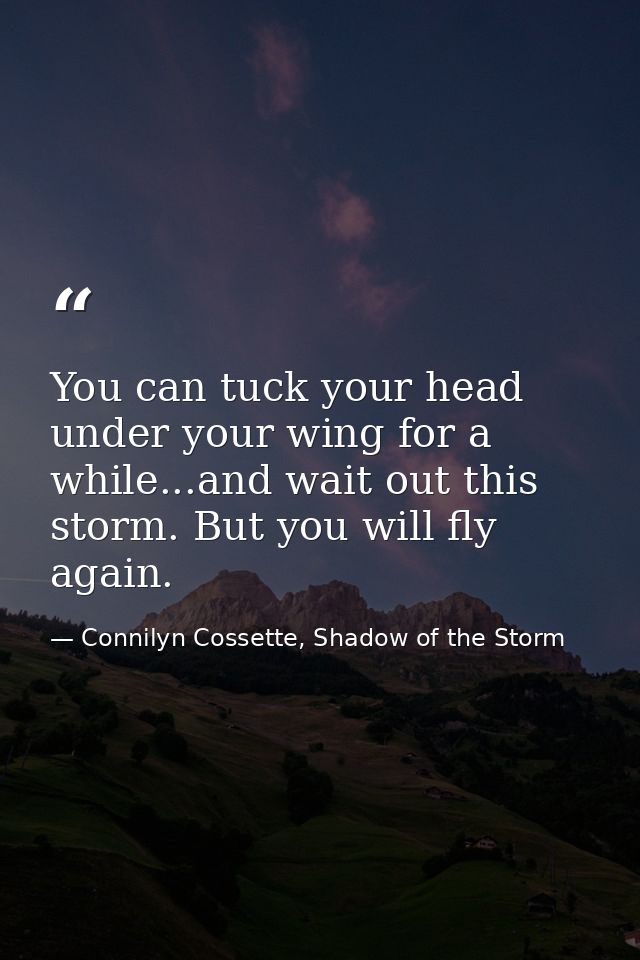 You can tuck your head under your wing for a while...and wait out this storm. But you will fly again. — Connilyn Cossette, Shadow of the Storm