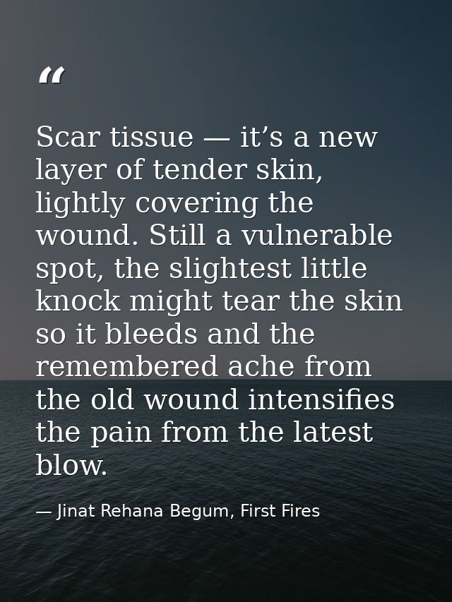 Scar tissue — it’s a new layer of tender skin, lightly covering the wound. Still a vulnerable spot, the slightest little — Jinat Rehana Begum, First Fires
