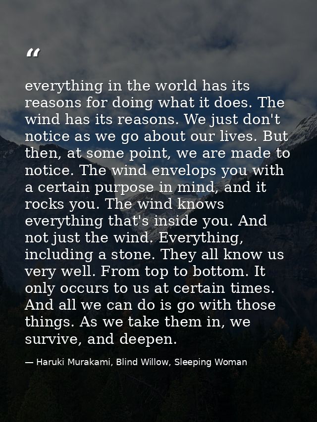 everything in the world has its reasons for doing what it does. The wind has its reasons. We just don't notice as we go  — Haruki Murakami, Blind Willow, Sleeping Woman
