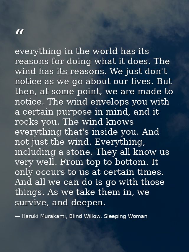 everything in the world has its reasons for doing what it does. The wind has its reasons. We just don't notice as we go  — Haruki Murakami, Blind Willow, Sleeping Woman